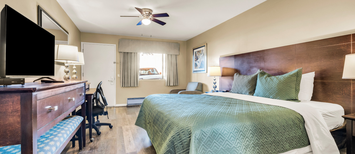 Explore Our Coastal Gem