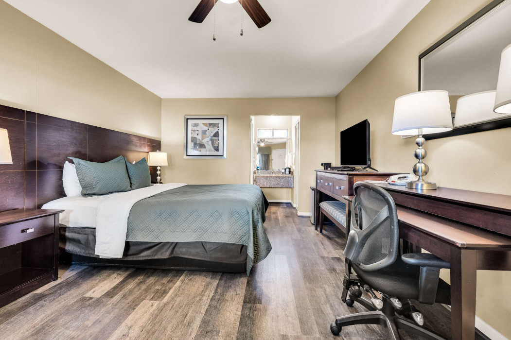 1 King Bed