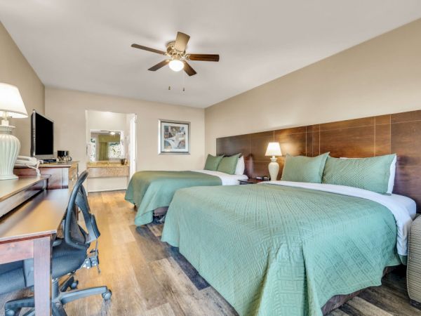A bright hotel room with two queen beds, green bedspreads, a wooden headboard, desk, chair, flat-screen TV, and a ceiling fan.