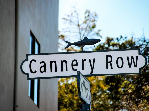 A street sign reads &ldquo;Cannery Row&rdquo; with a bird statue perched on top; background shows a building and trees in afternoon light.