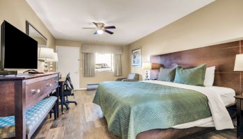 A hotel room with a king bed, teal bedding, nightstands, lamps, a ceiling fan, a desk with a chair, a TV on a dresser, and a seating area by the window.