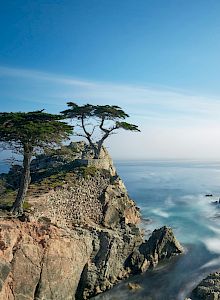 Scottish Fairway Inn